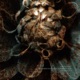 Undogmatic Single