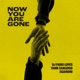 Now You Are Gone Single