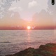 Sun Parade Single