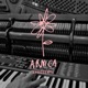 Arnica Apresenta feat Lemoskine Bananeira Brass Band Raissa Fayet Single