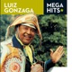 Mega Hits Luiz Gonzaga