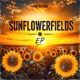 Sunflowerfields EP EP