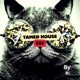 Tamed House Cat Single