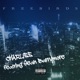 Free Birds feat Sean Barrymore Single
