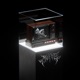 Outer Limits Single