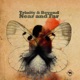 Near and Far Pezzner Remix Single