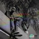 Teenage Despairs Single