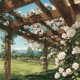 Garden II Roses Single