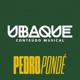 Você Vicia Ao Vivo Single
