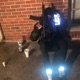 Tray 5 feat FBG FatSlime Single