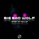 Big Bad Wolf Radio Edit Single
