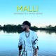 Malli feat Ervin Qerimi Single