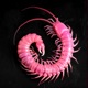 Hot Pink Single
