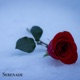 Serenade Single