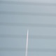 夏の庭 Single
