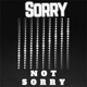 Sorry Not Sorry Single