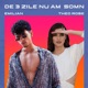De 3 zile nu am somn feat Theo Rose Single