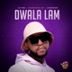 Dwala Lami Single