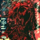 AOKIGAHARA Single