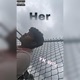 Her Single