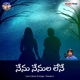 Nenu Nenula Lene Single