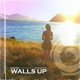 Walls Up Single
