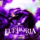 Euphoria Remix feat 2050 Single