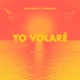 Yo Volaré Single