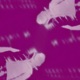 Atmos One Slowed Single