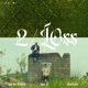 2 LOSS Single