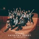 Chybičky Krásy feat Dano Kapitán Single