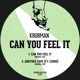 Can You Feel It Single