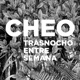 Trasnocho Entre Semana Single