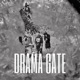 DRAMA GATE feat vhs collective Single