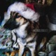 Weihnachten 2023 feat Paul Loebe Haus Single