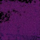 FREEFALL Single