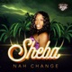 Nah Change Single