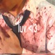 luv 3 Single