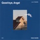 Good Bye Angel feat TSUBAME Single
