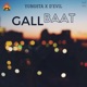 Gallbaat Single