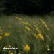 Passing By Single