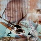 PROBABILITIES EP