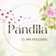 Pandila feat Sulle Single