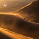 Lost in the Desert Winds Single