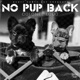 NO PUP BACK Single