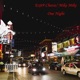 One Night Single