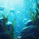 Subsurface Serenity Single