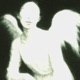 Mori 森 Single