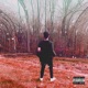 majestic garden interlude feat Newk Single