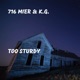 Too Sturdy Single